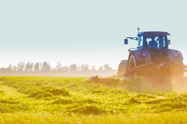 Tractor makes harvesting hay for animals on a farm