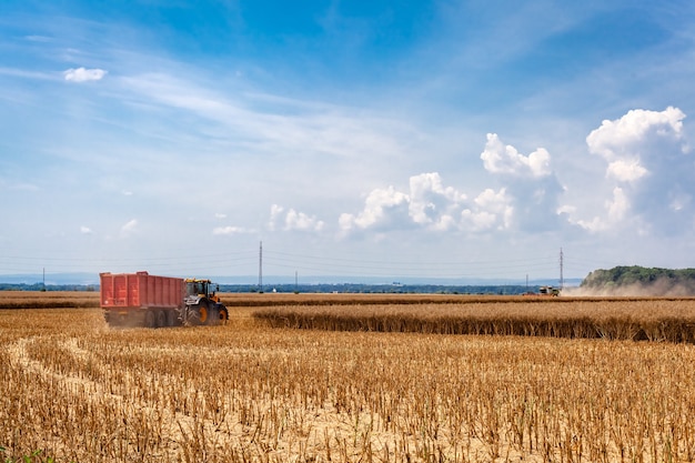 tractor met een zijspoor in een veld tijdens het oogsten van graan