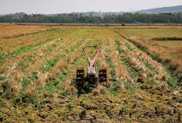 tractor midden in droge rijstvelden