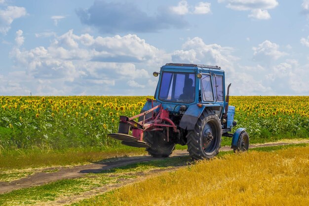 Foto giri in trattore in un campo con girasoli