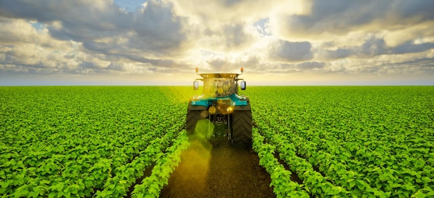 Photo tractor on soybean field at sunset 3d render