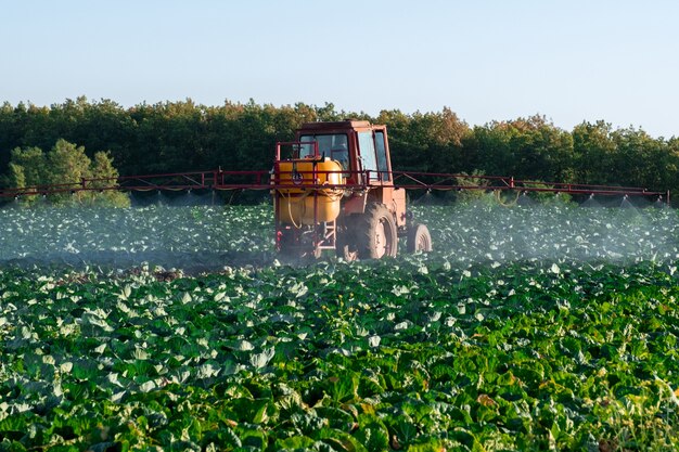 Tractor sprays Chemistry and Pesticides to a Farm's Field with vegetables