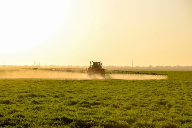 Photo tractor on the sunset background tractor with high wheels is making fertilizer on young wheat the use of finely dispersed spray chemicals