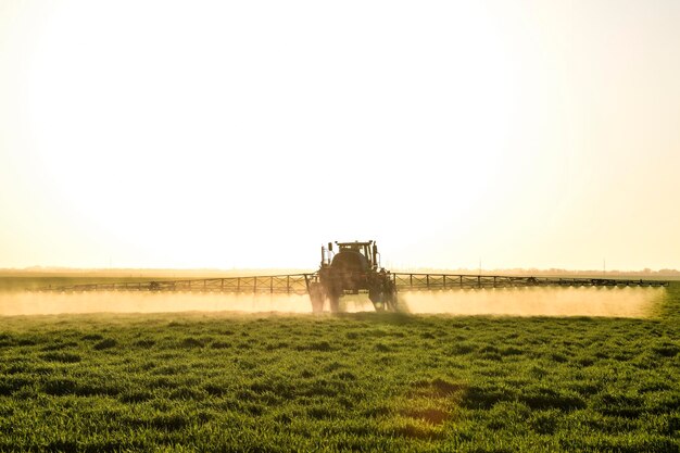 Photo tractor on the sunset background tractor with high wheels is making fertilizer on young wheat the use of finely dispersed spray chemicals