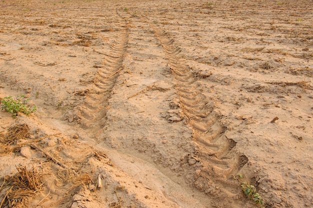 Tractor tracks on the ground.Wheel marks on the soil.Sandy loam