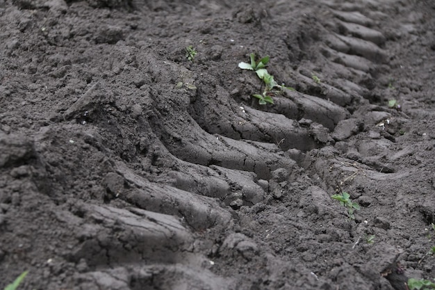 tractor wheel print on soil