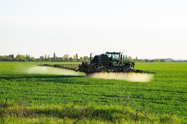 Photo tractor with the help of a sprayer sprays liquid fertilizers on young wheat in the field