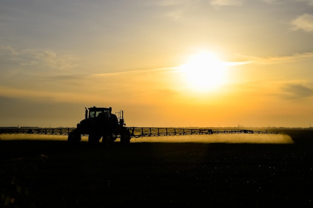 Photo tractor with the help of a sprayer sprays liquid fertilizers on young wheat in the field