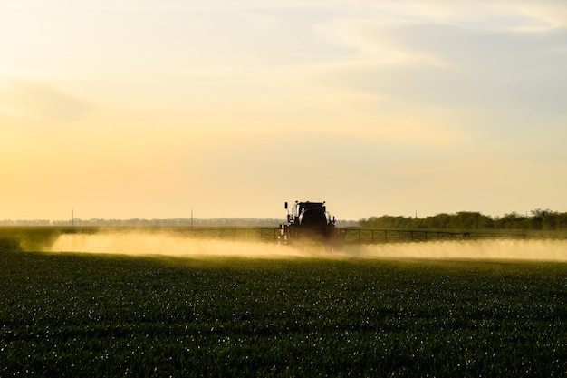 Photo tractor with the help of a sprayer sprays liquid fertilizers on young wheat in the field