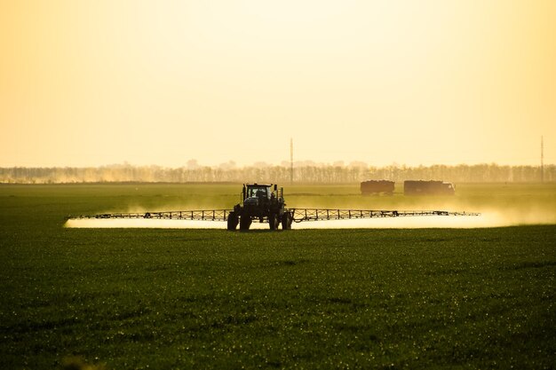 Photo tractor with the help of a sprayer sprays liquid fertilizers on young wheat in the field