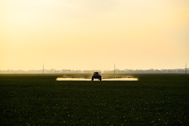 Photo tractor with the help of a sprayer sprays liquid fertilizers on young wheat in the field