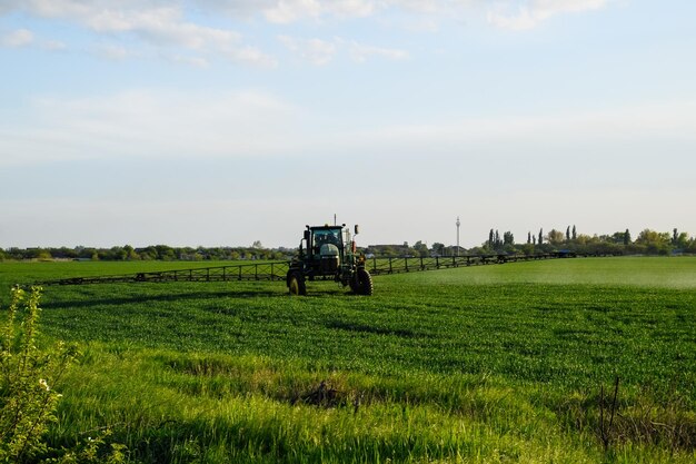 Photo tractor with the help of a sprayer sprays liquid fertilizers on young wheat in the field