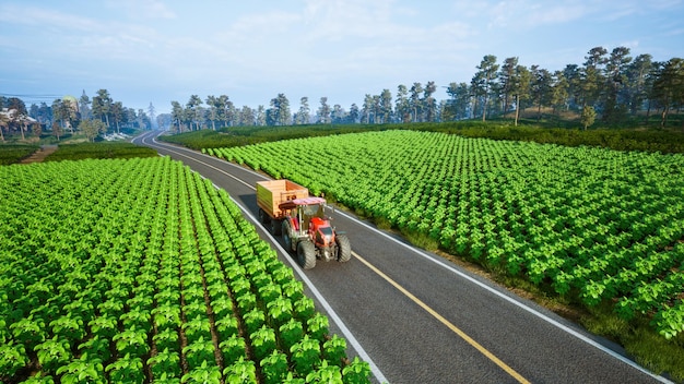 Tractor working in agricultural plots 3d render