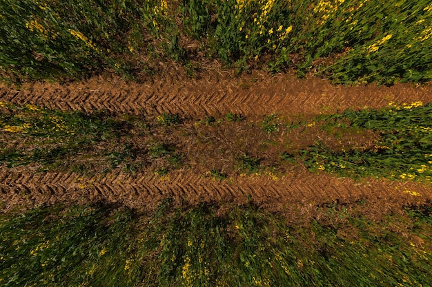 Tractorbandensporen in klei van koolzaadveld direct boven ultragroothoekbeeld