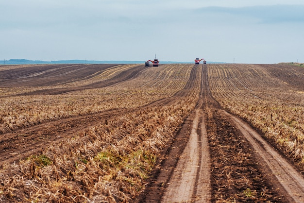 Tractors working in the field