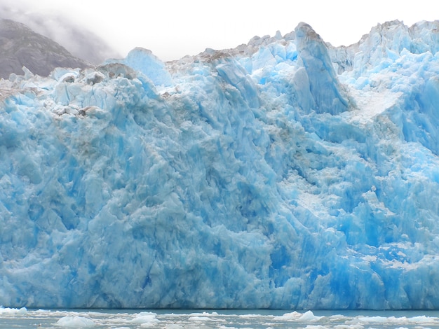 Tracy Arm&#39;s Ford Glacier Terror Wildlife. Zuidoost-Alaska, VS.