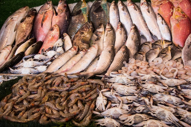 Trade stalls at the Central Fish Market in Cairo, Egypt