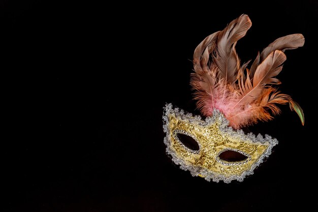 Tradition carnival mask for masquerade Jewish holiday Purim