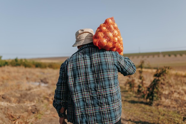 伝統的な農業 畑を耕す高齢の男性 野菜の袋を運ぶ老農