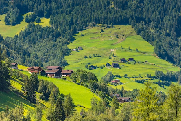 Traditional alpine houses in green forest Alps mountains. Horizontal shot