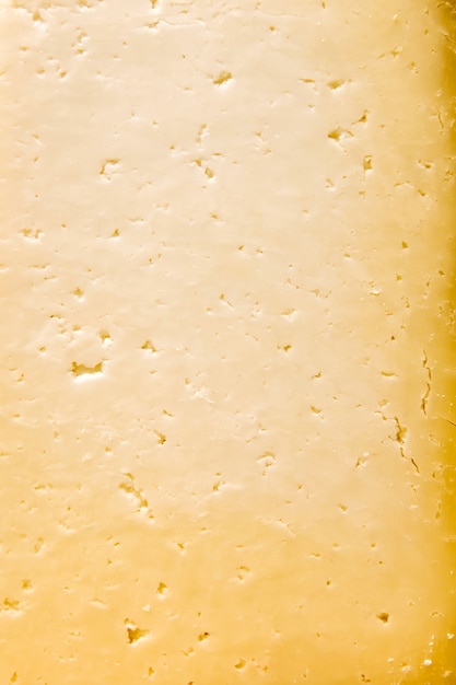 Traditional Auvergne cheese