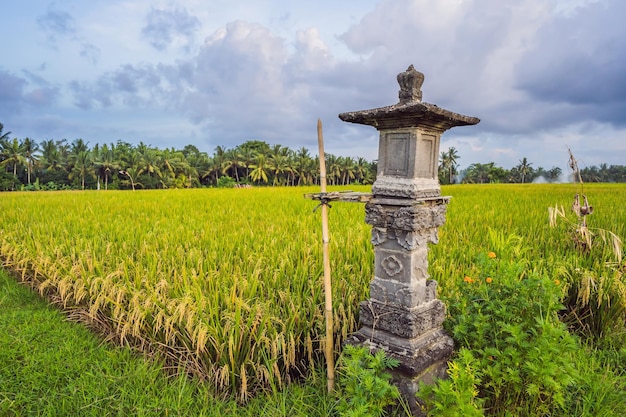 Traditional Balinese house of spirits on rice field Bali Indonesia