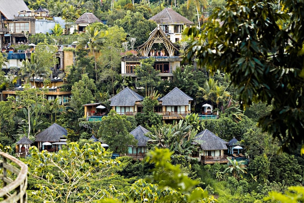 Traditional balinese huts, hotel, guesthouse in the jungle in\
ubud area, bali