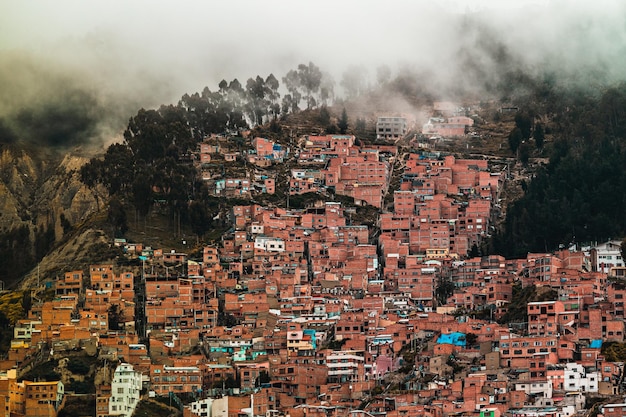 Traditional bolivian houses on the hills in La Paz city Bolivia