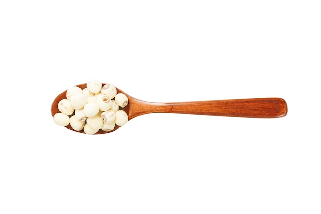 Traditional Chinese tonic lotus seed on white background