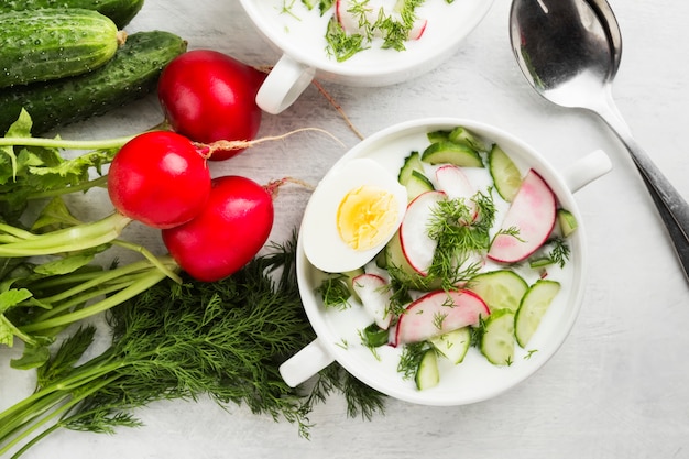 Traditional cold Russian soup with kefir, cucumber, radish, egg and parsley