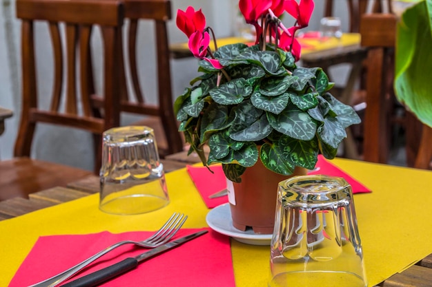 Traditional Cozy Outdoor Cafe in Florence Italy