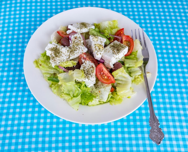 Traditional Delicious Greek foods; fresh greek salad.