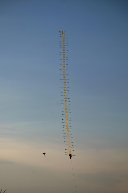 Photo traditional dragon kite flying on blue sky at beach