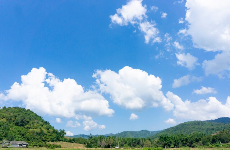 Photo 농촌 지역에서 전통적인 네덜란드 건축 벽돌 농장
