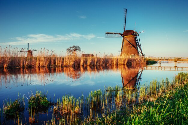 Traditional Dutch windmills from the channel Rotterdam. Holland