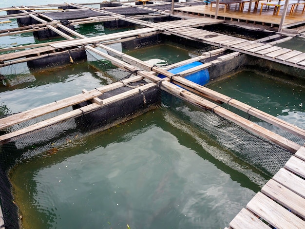 Gabbia di pesce tradizionale a koh yao noi, phang nga, thailandia.