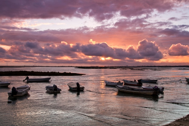 Traditional fishing boats