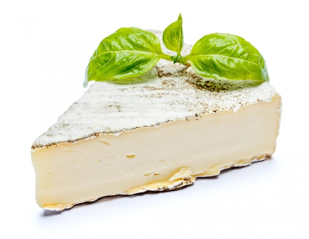 Traditional french brie cheese and basil on a white table.