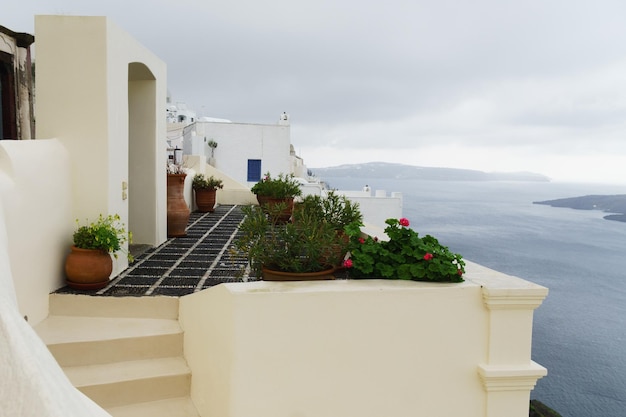 Традиционные греческие белые здания и свежие зеленые растения в горшках Концепция тихих зимних каникул