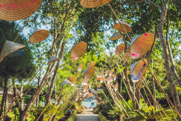 I cappelli tradizionali della donna del vietnam. la donna più popolare del vietnam.