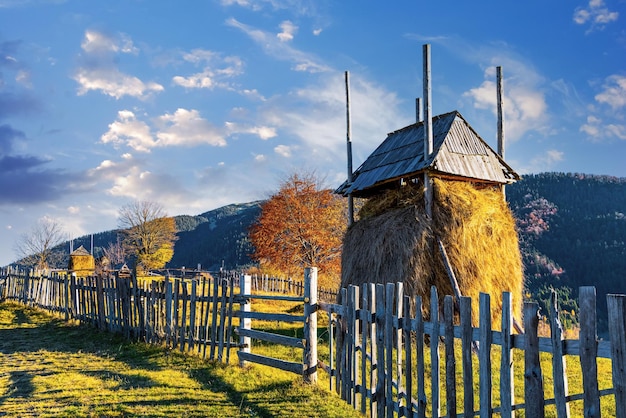 Traditional haystack of dry yellow hay under wooden roof built with long poles behind fence in highland under blue sky on sunny autumn day