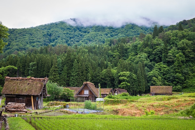 Традиционная и историческая японская деревня Ширакаваго в префектуре Гифу Япония, Гокаяма