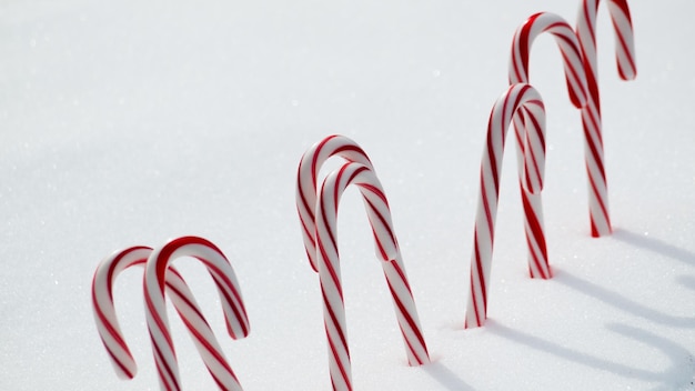 Traditional holiday candy candy cane in snow.