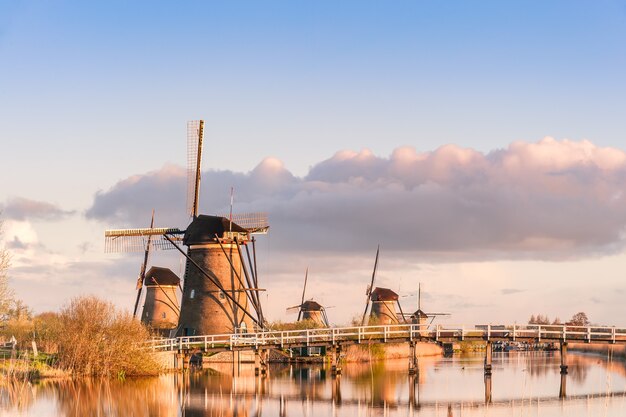 写真 風車のある伝統的なオランダの風景