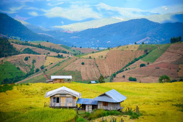 Traditional homestay in the middle of the rice fields on terraced of Ban Pa Bong Piang in Chiangmai