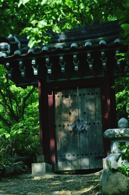 写真 公園の伝統的な家と木