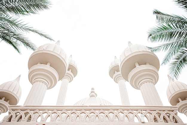 Traditional Islamic mosque among the palm trees in sunny weather