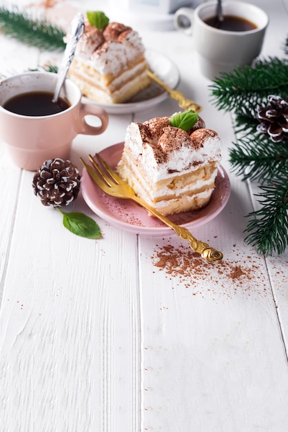 Traditional italian dessert tiramisu