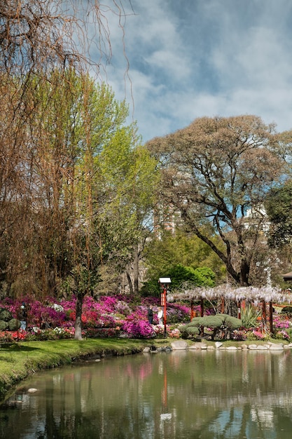 アルゼンチンのブエノスアイレスにある伝統的な日本庭園