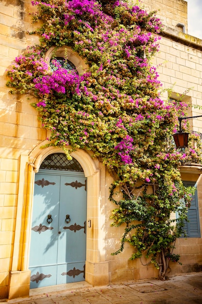  Traditional Maltese house facade decorated with flowers and artistic design windows and doors, Mdin